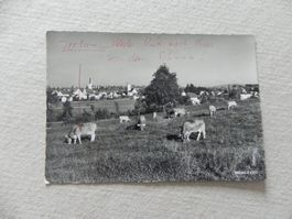 Ansichtskarte Wängi TG Thurgau ca. 1965