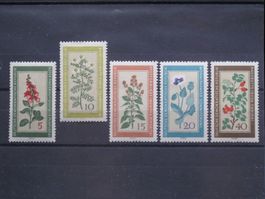 DDR 1960 Einheimische Heilpflanzen **