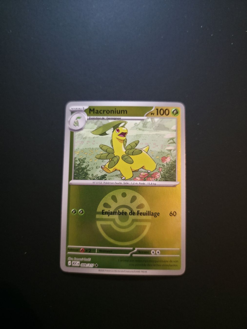 Pokémon Carte collezionabili: Asc 009 Reverse Pokeball – Nuovo (secondo la descrizione) da Le Lignon venduto da Nathium