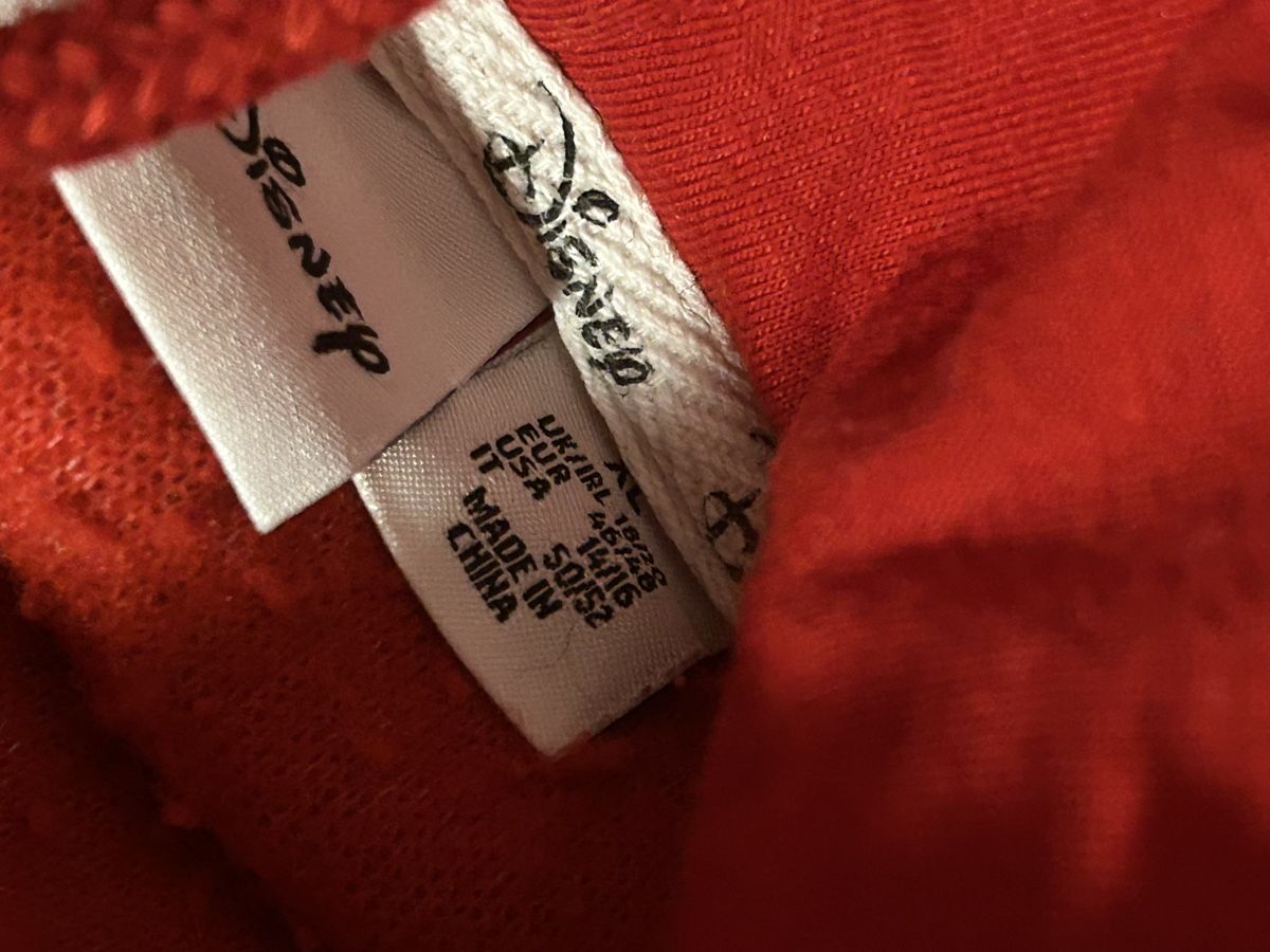 Pulls & Sweat-shirts: Disney Teddy-Pullover Kapuzenpullover rot Grösse XL – D'occasion à Pfäffikon SZ par yello13 1