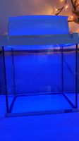 Tetra Nano-Aquarium 30L mit LED (Tag-/Nachtlicht) 