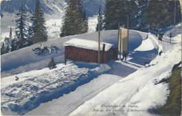 Wintersport  in  Davos.  Bob  in  der  zweiten  Kehrkurve.