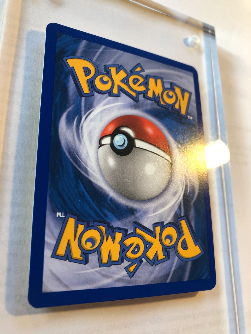 Carte collezionabili: Pikachu Expedition - MINT - ab 1.- – Usato da Giubiasco venduto da dan_pr8b 5
