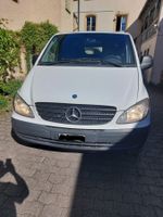 Mercedes Vito Kastenwagen Weiss 115 CDI