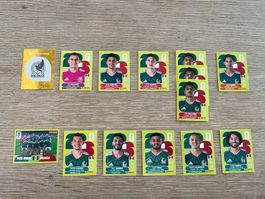 Panini 2026 Mexiko