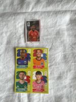 5 Paninisticker
