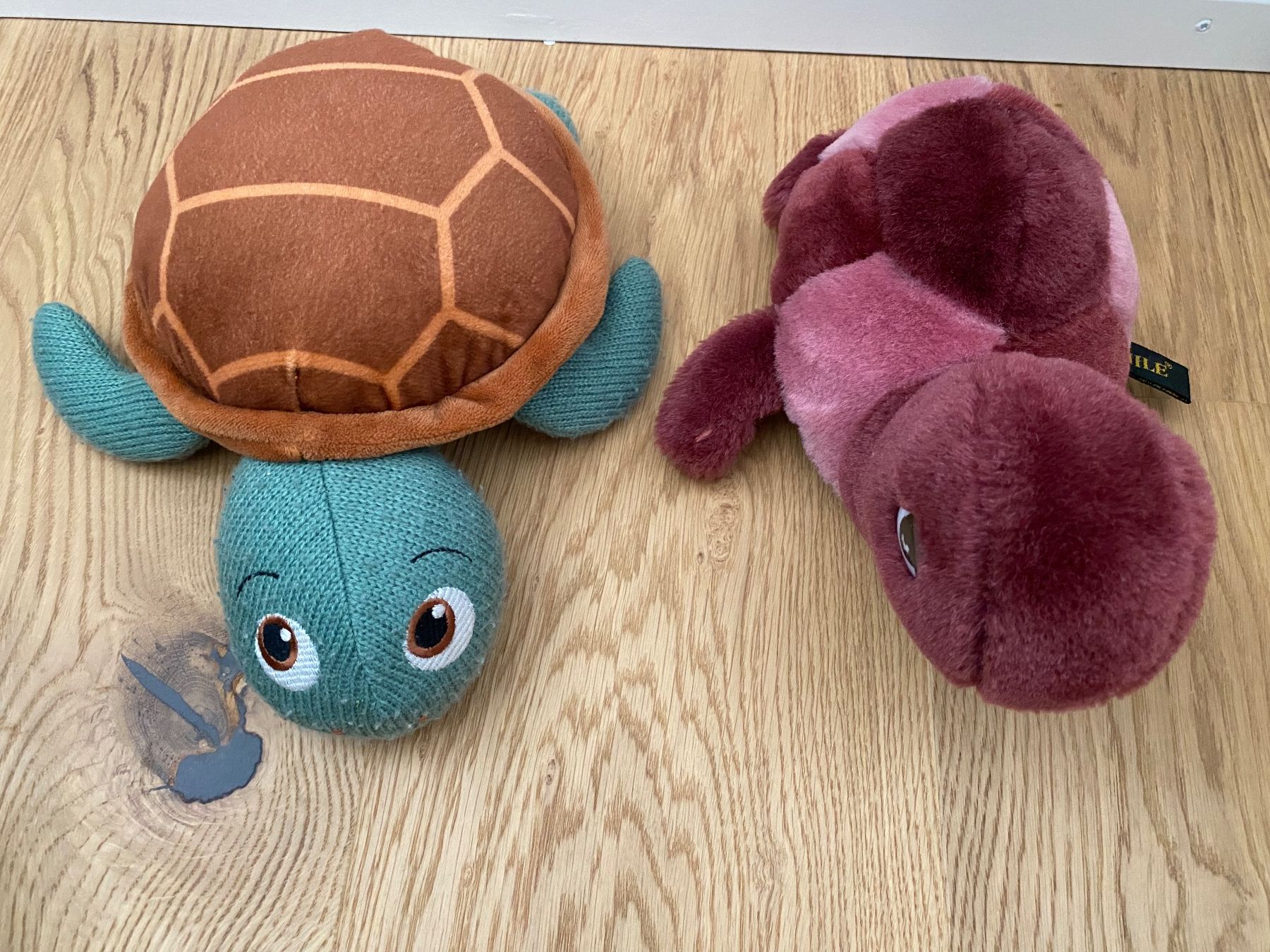 Coop Giocattoli: 2x Plüsch Schildkröte – Usato da Einsiedeln venduto da PaedeK84 2