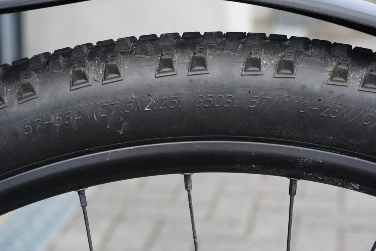 Wheeler Biciclette: Wheeler Protron 1.7 Mountainbike – Usato da Hertenstein AG venduto da Stadtturm 5