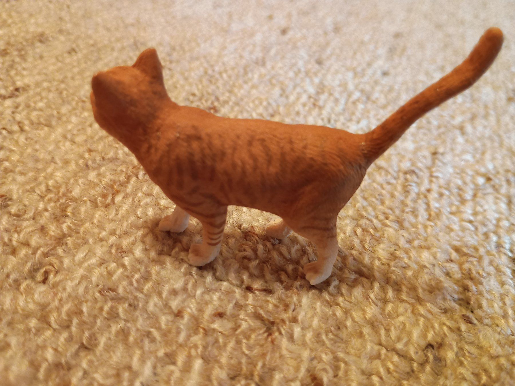 Schleich Statuette: Schleich 13836 Katze, stehend, 2016 – Nuovo (secondo la descrizione) da Buchs AG venduto da ReaNaTsch 1