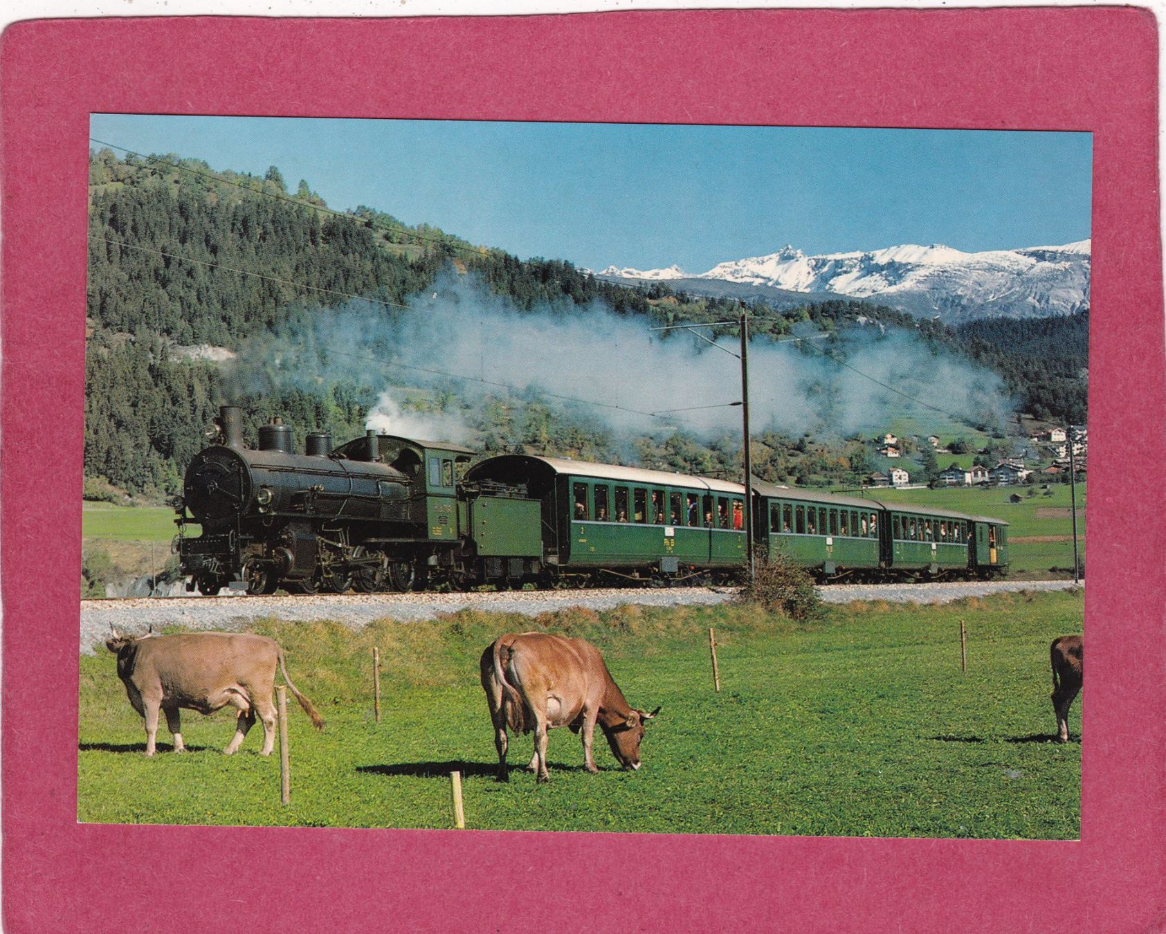 Ansichtskarten: Dampfzug der Rhätischen Bahn Kühe – Gebraucht aus Herisau von Lisegrat2008