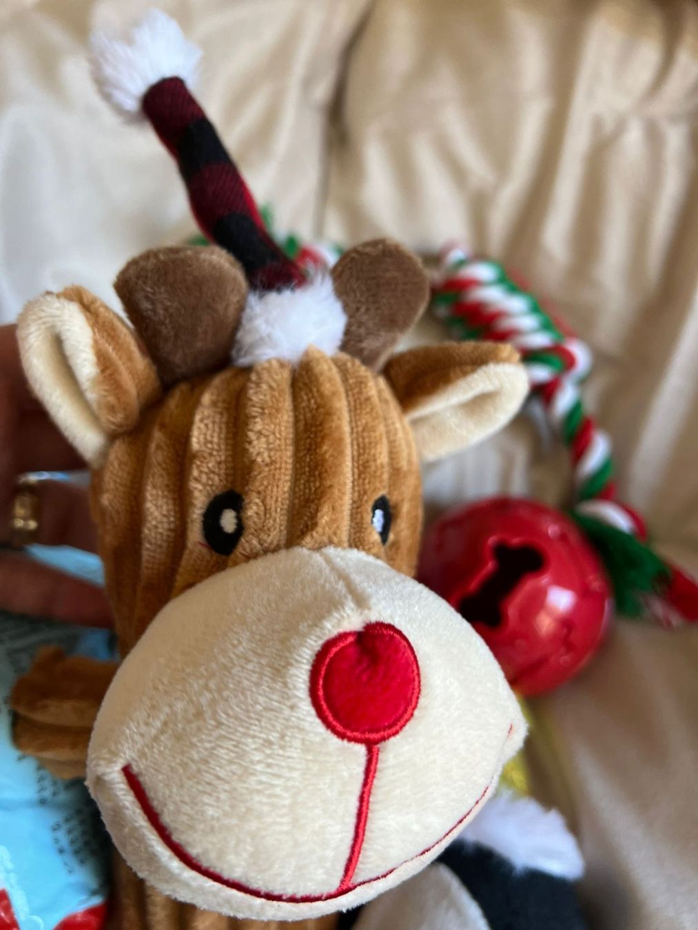 Liege- & Schlafplätze: Jouets couches chiots/Spielzeug & Welpenwindeln – Neu und originalverpackt aus Romont FR von Joe_xkh9 2