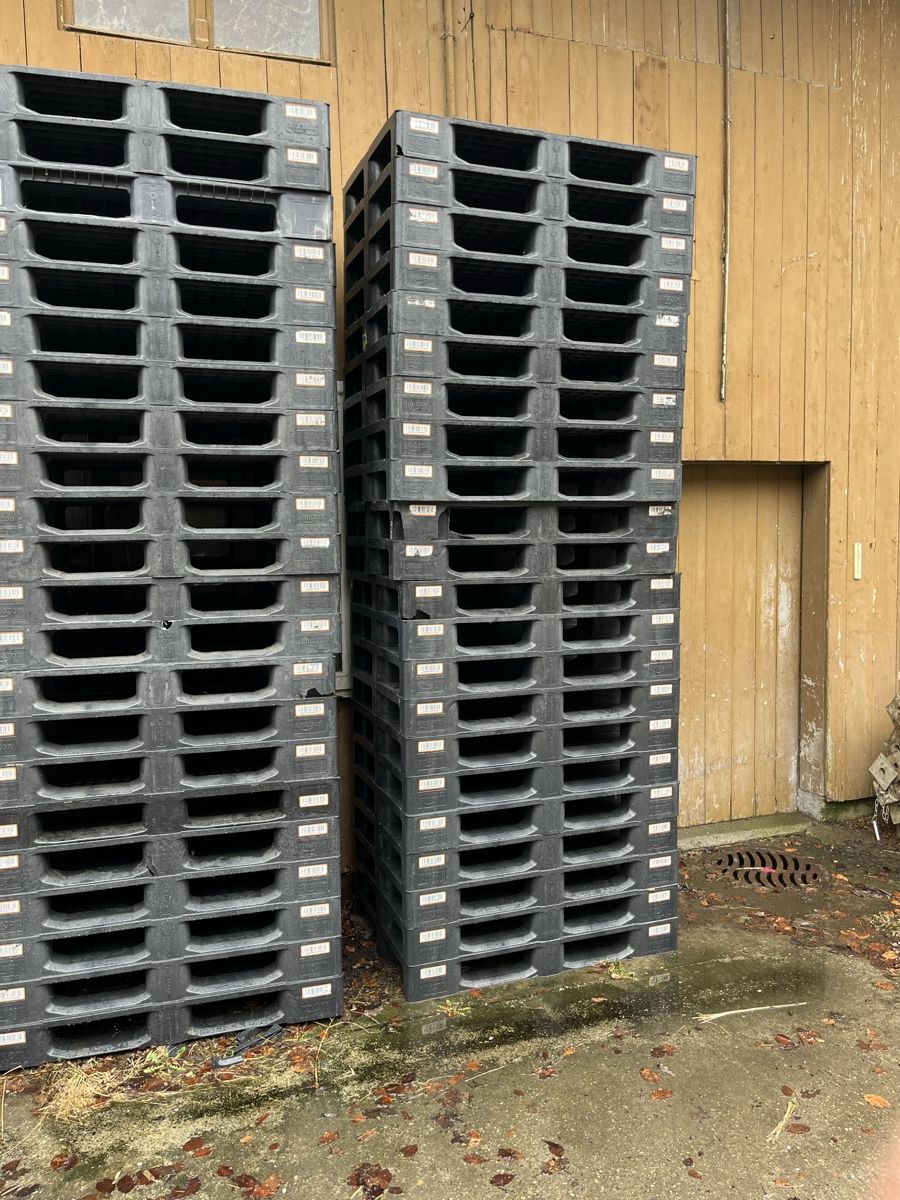 Pallets: 20 Stück Kunststoff Paletten – Usato da Schafisheim venduto da 555550 1