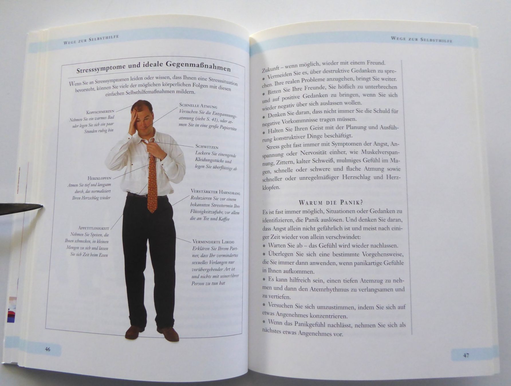 Libri: Büchlein Stress erkennen, vorbeugen, heilen – Usato da Aesch BL venduto da Kauri1 7
