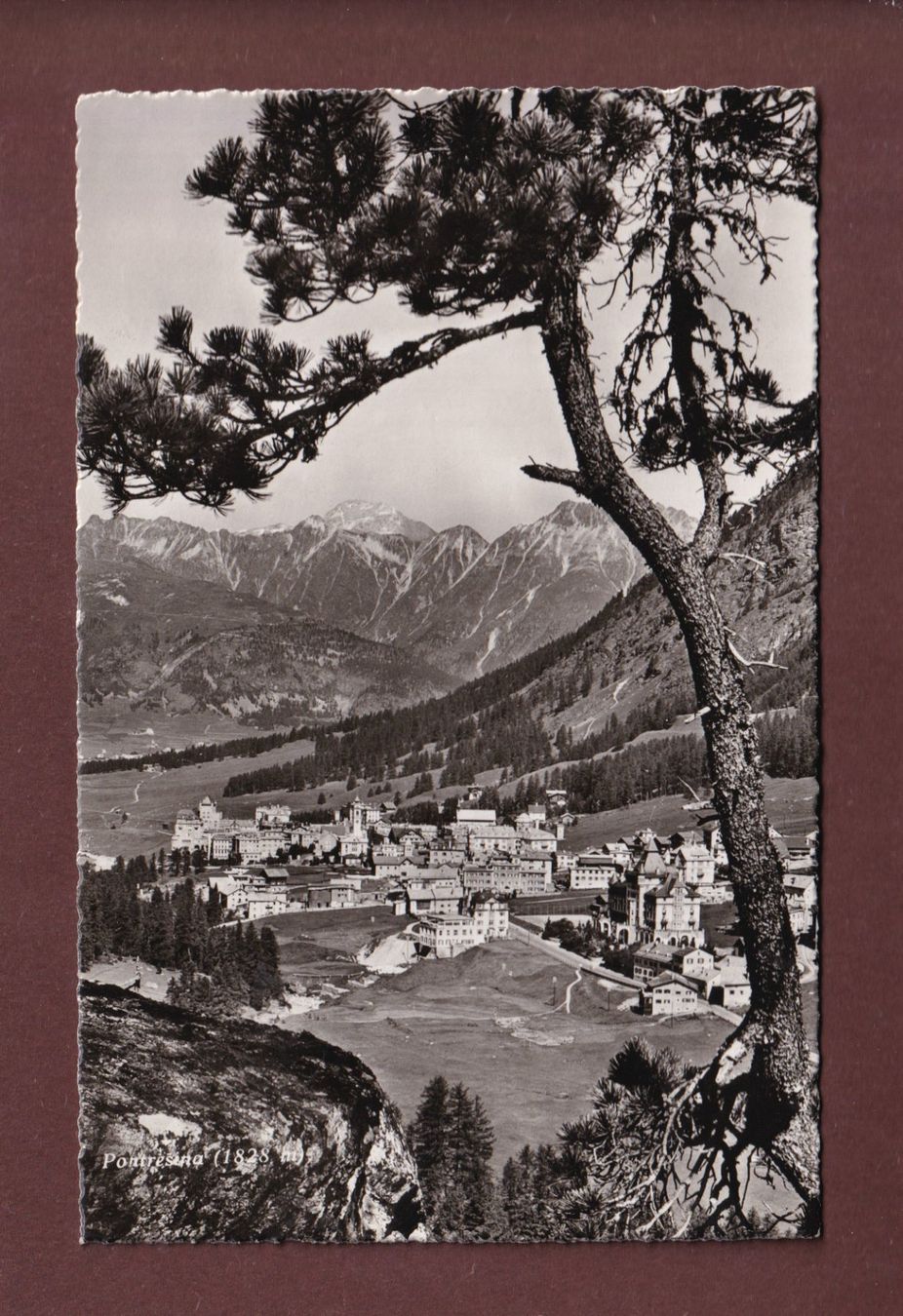 Ansichtskarten: PONTRESINA - 1950 – Gebraucht aus Pully von nicecards-shop