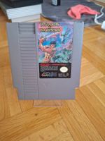 Wizards & Warriors NES