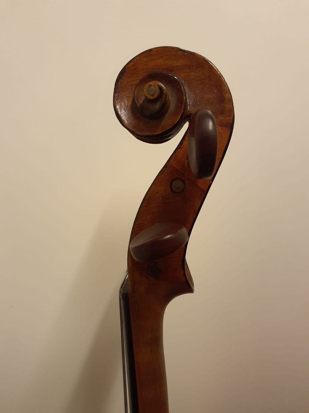 Musikinstrumente: Geige – Gebraucht aus Wattwil von inf_6695 4