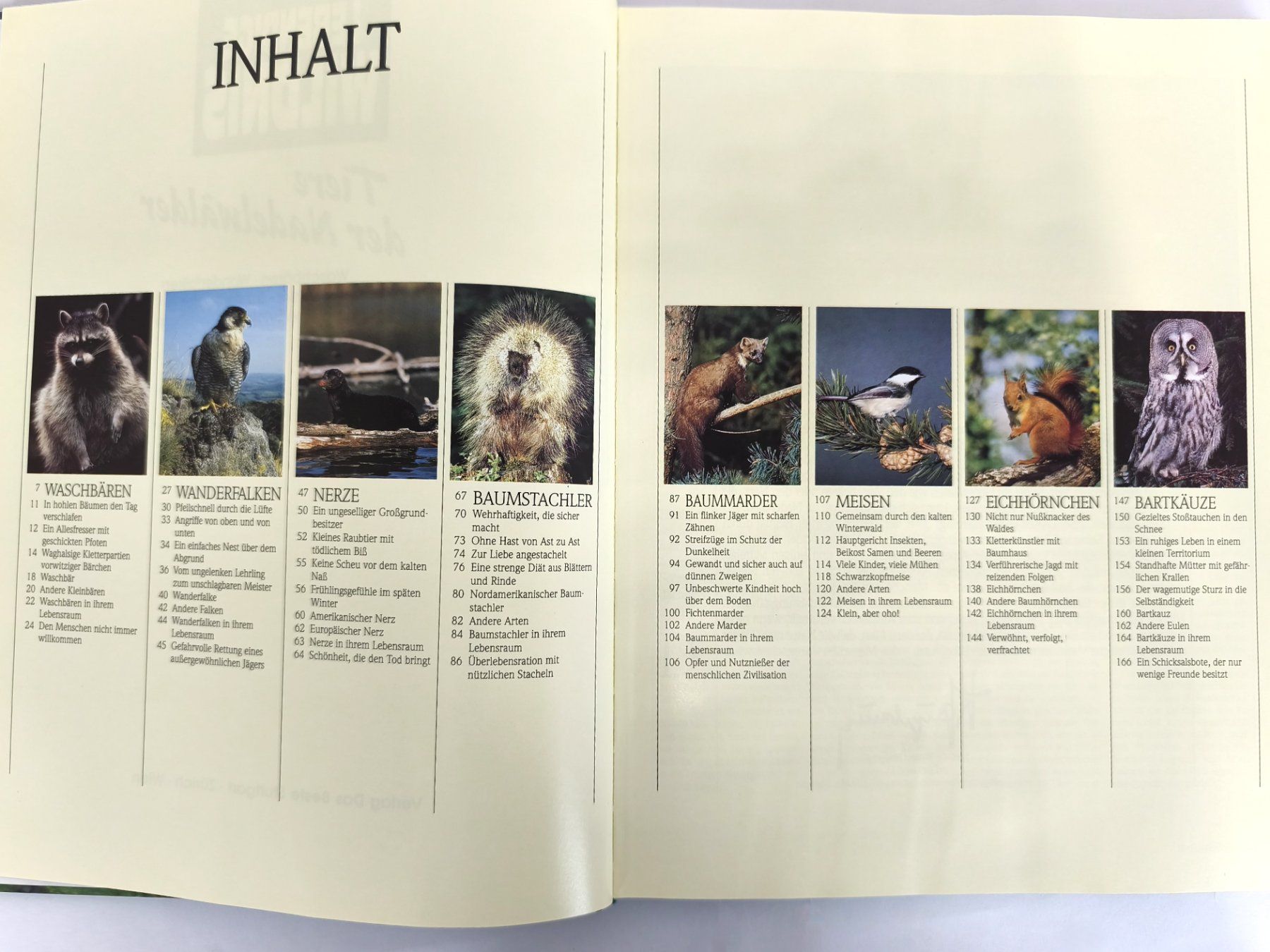 Livres: BUCH - Tiere der Nadelwälder – D'occasion à Schaffhausen par Restwert_SH 4