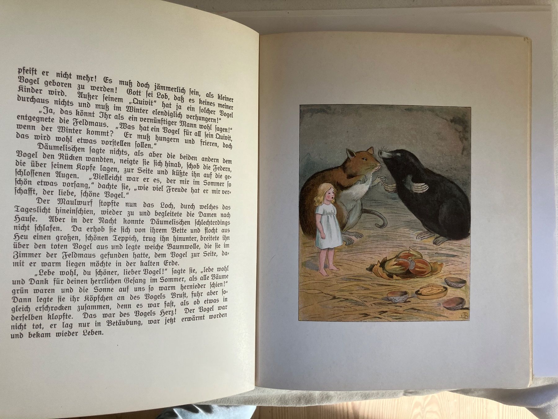 Libri: Däumelis`chen Märchen von Andersen  Bilder von Elsa Beskow – Usato da ZUERICH venduto da Carolus1 7