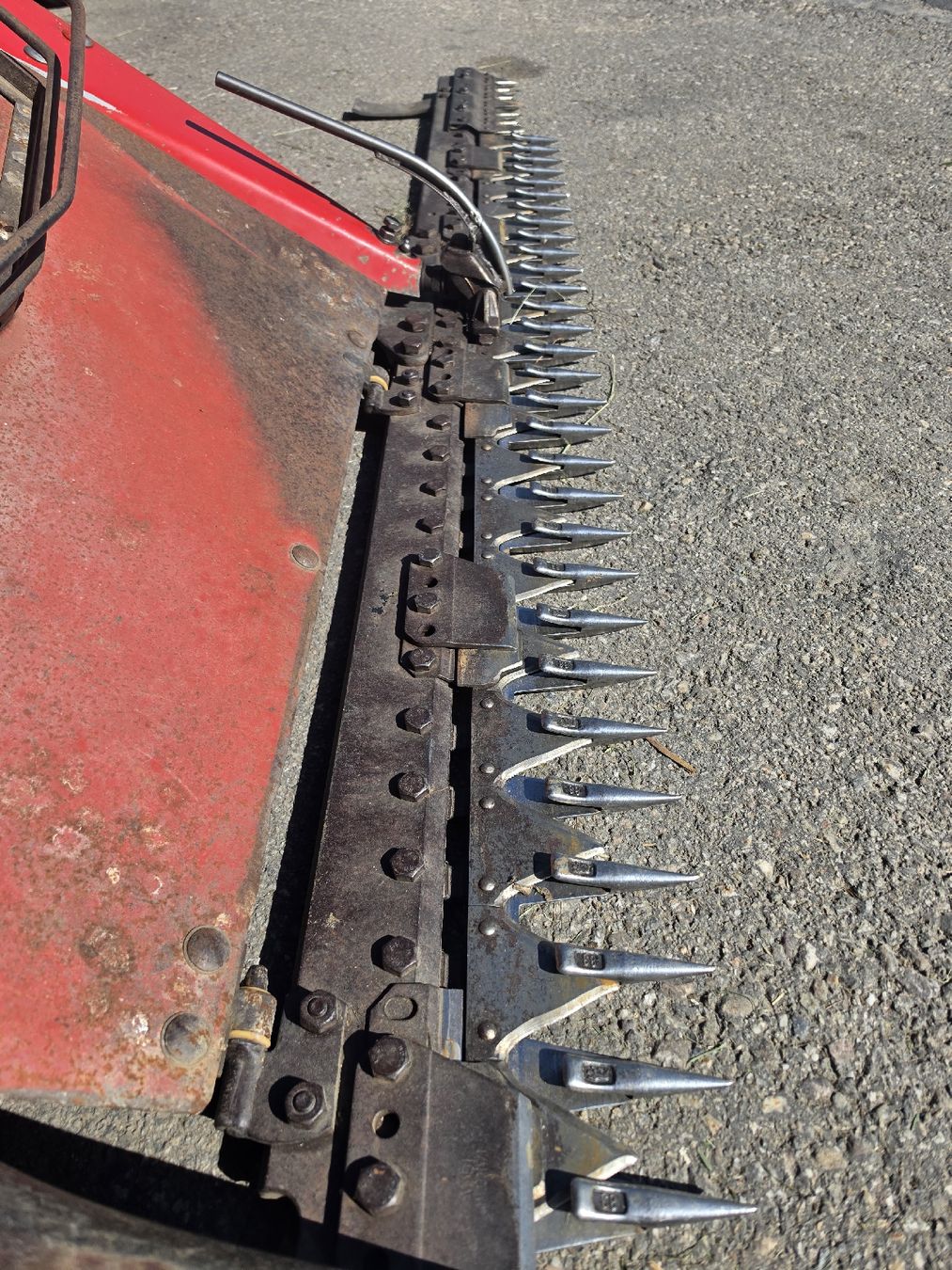 Aebi Toutes les machines: AEBI AM 41mit gabeleingraser – D'occasion à Eggiwil par fiatagri1995 2