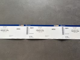 Heitere Open Air 2026 3x Tagesticket Freitag