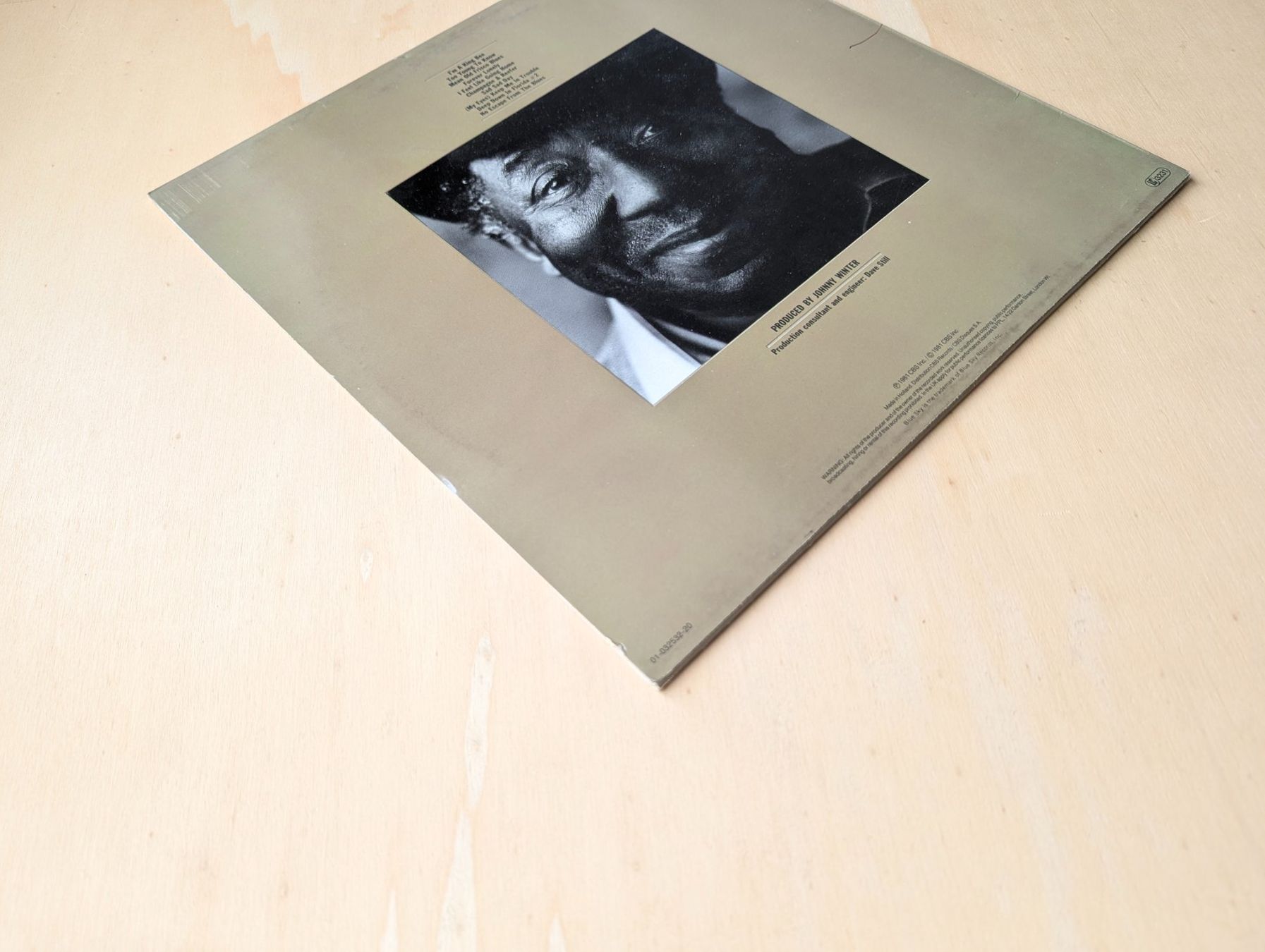 Dischi in vinile: Muddy Waters – King Bee – Usato da Ebikon venduto da kisuM 3