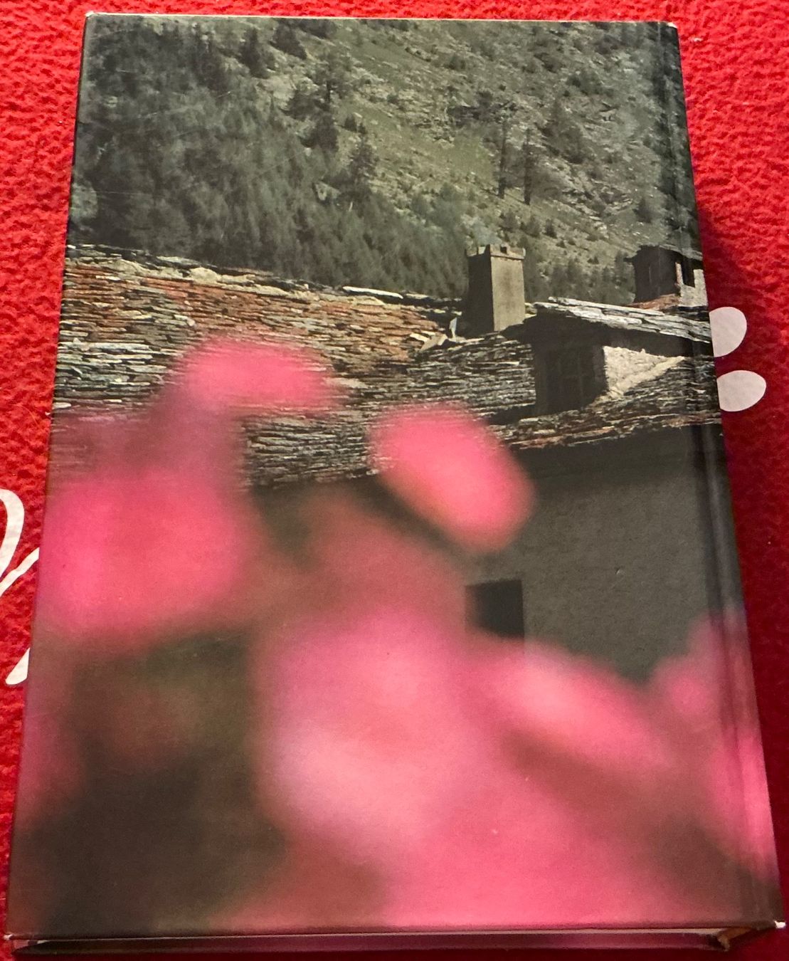 Libri: Der Simplon - Peter Arnold - Geschichte des Passes – Usato da Crans-Montana venduto da plainemorte 5