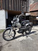 Pony GTX 521 Beta