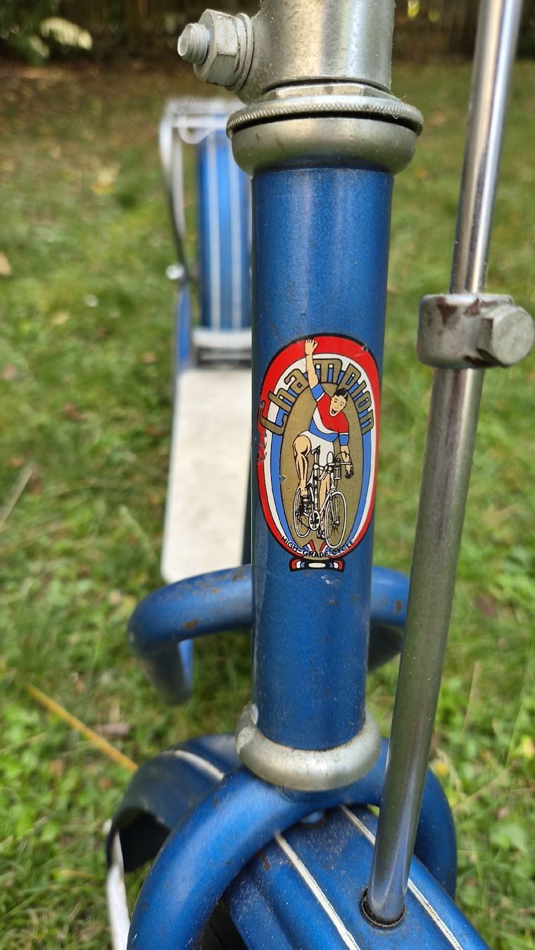 Kickboard: Trotti Alt Champion – Gebraucht aus Sirnach von Marphil 1