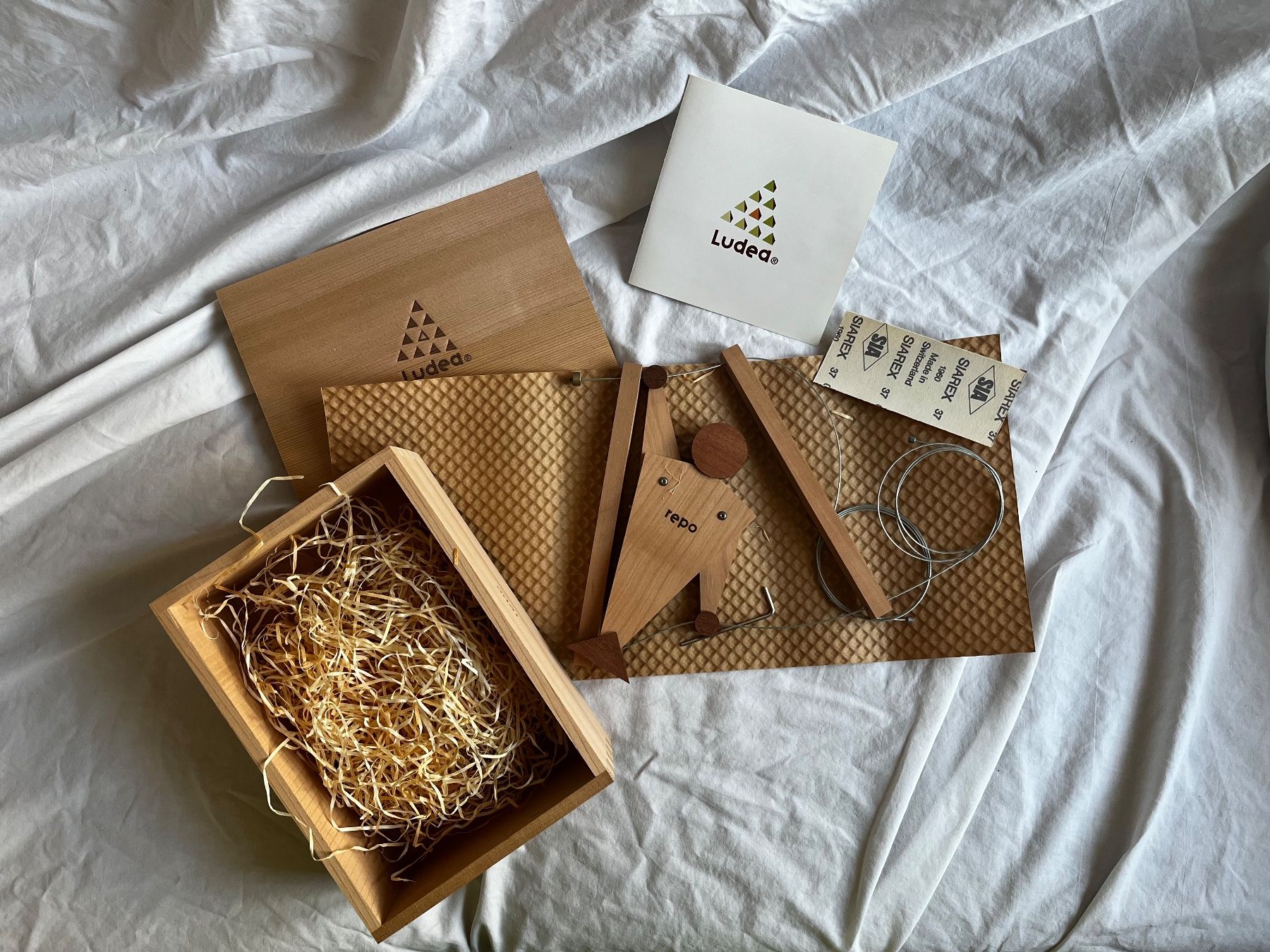 Baukästen: Experiment Bausatz Ludea REPO – Neu und originalverpackt aus Zürich von gemuesebouillon