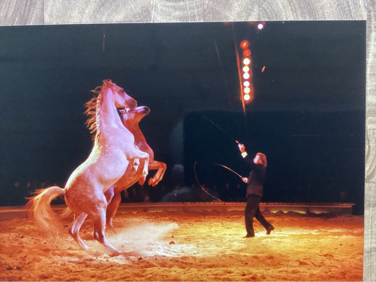 Poster & Bilder: Circus Knie Foto 1990 – Gebraucht aus Reichenbach i. K. von astra2010
