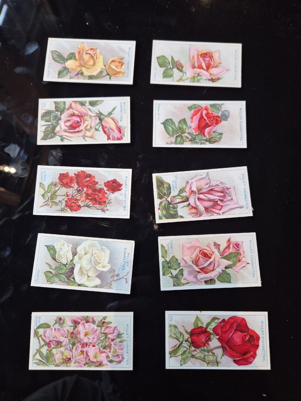 Carte collezionabili: Zigarettenbilder Rosen lot 15 – Usato da Hofstetten BE venduto da hillhood
