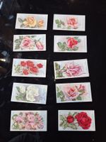 Zigarettenbilder Rosen lot 15