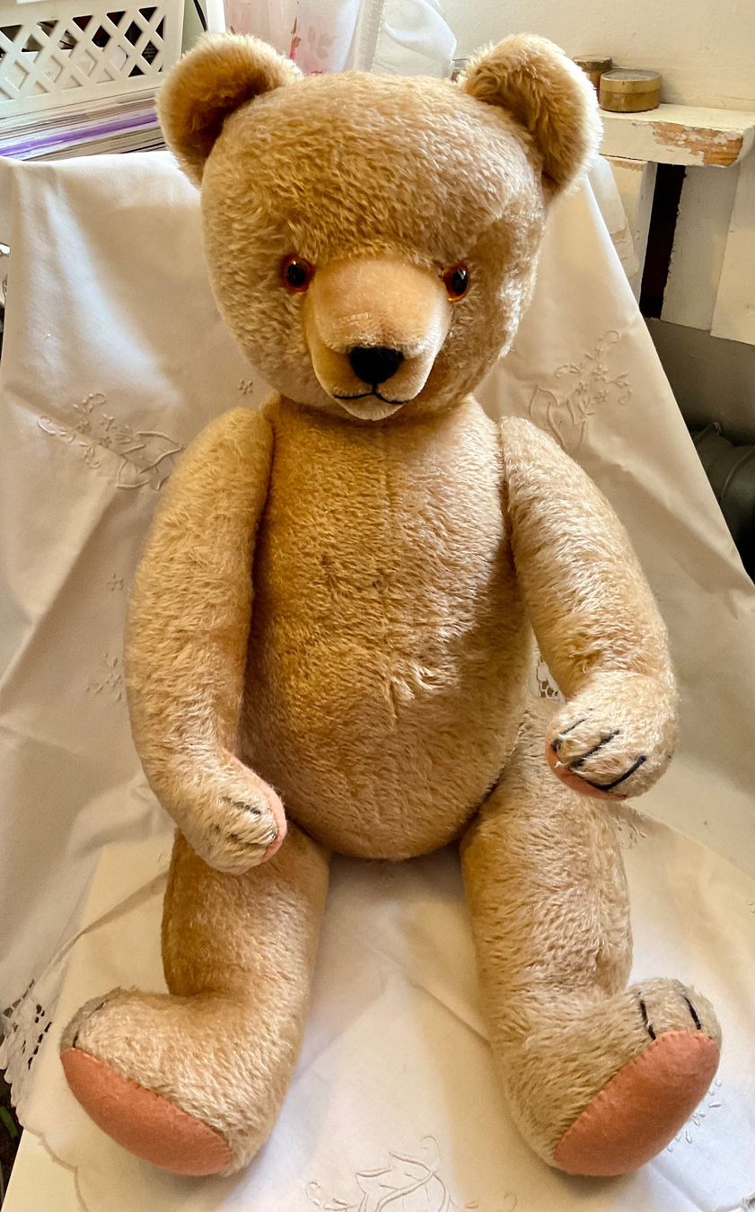 Teddy Hermann Jouets: Teddy Bär – D'occasion à Herisau par eri_2tb5