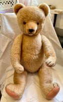 Teddy Bär