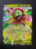 Mega Meganium ex 34 - Meganie - MEP Black Star Promos - EN