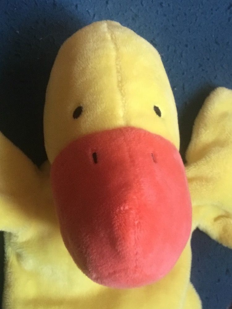 Bambole: Handpuppe Lotte – Usato da Schlieren venduto da Jeajet 1