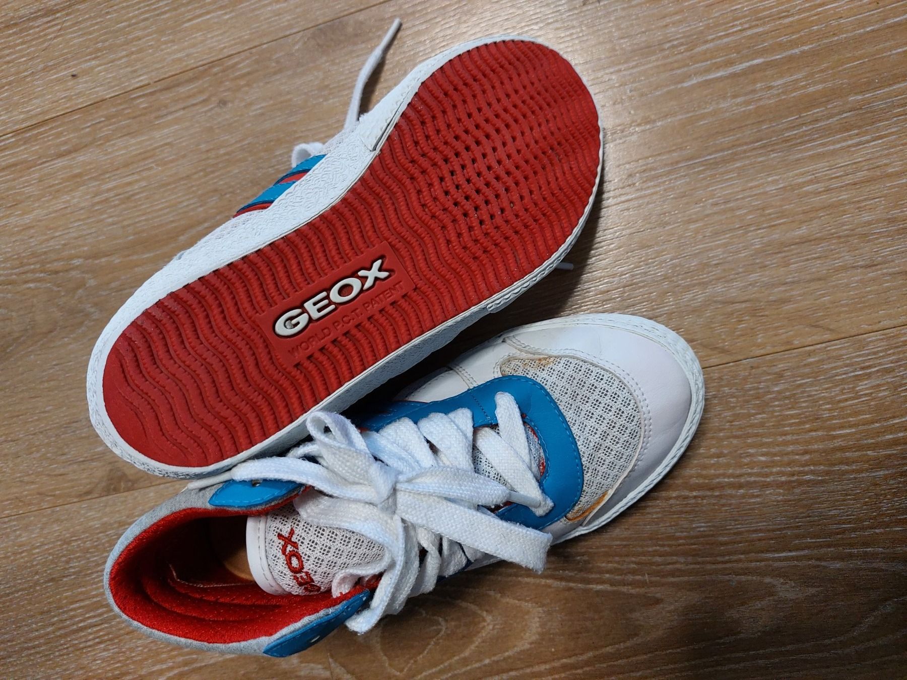Geox Scarpe per ragazzi: Geox Knöchelschuhe Gr.33 – Usato da Zweilütschinen venduto da badguy79 1
