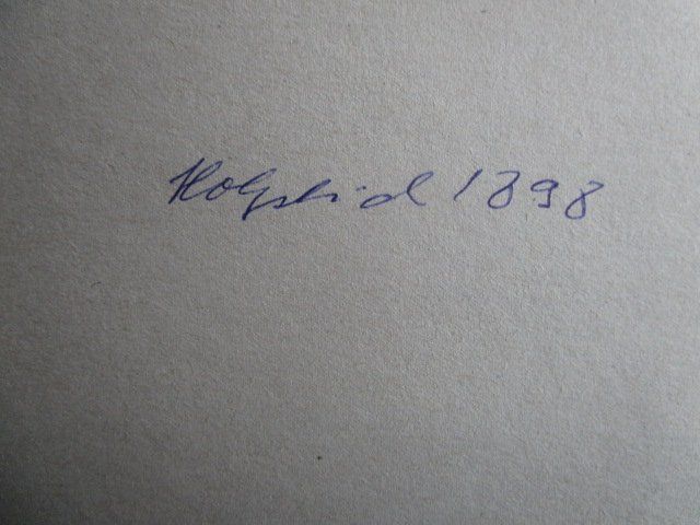 Incisioni: Bern - kleiner Holzstich um 1898 – Usato da Luzern venduto da Horoskop1 4