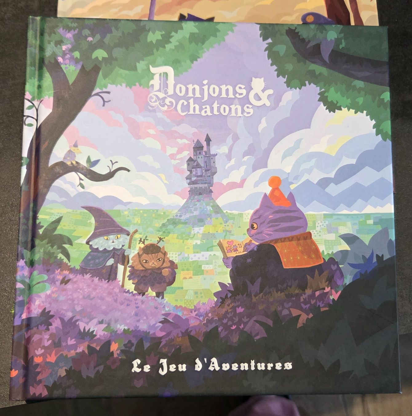 Libri: Livre donjons et chatons – Nuovo (secondo la descrizione) da Ependes FR venduto da Elphy 1