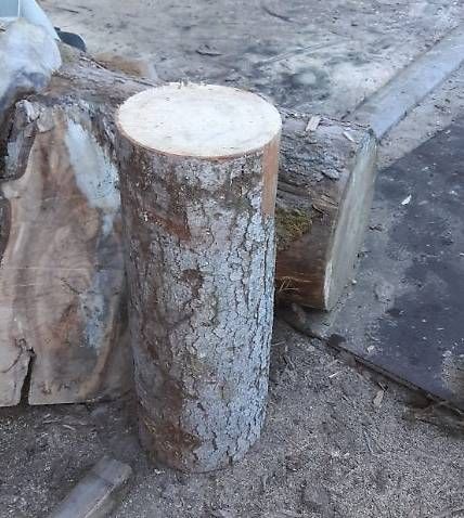 Holzartikel: Scheitstock – Neu (gemäss Beschreibung) aus Grünenmatt von Lerchholz