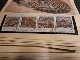 Timbres El Salvador - Tigrillo et Margay - Rare Série
