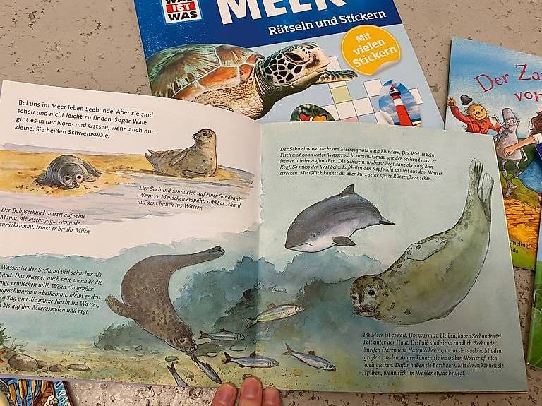 Bücher: Bücher und Hefter für Kinder – Neu (gemäss Beschreibung) aus Zürich von Cleo234 2