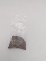Artemia Eier - 10g | Schlupffrate 95%