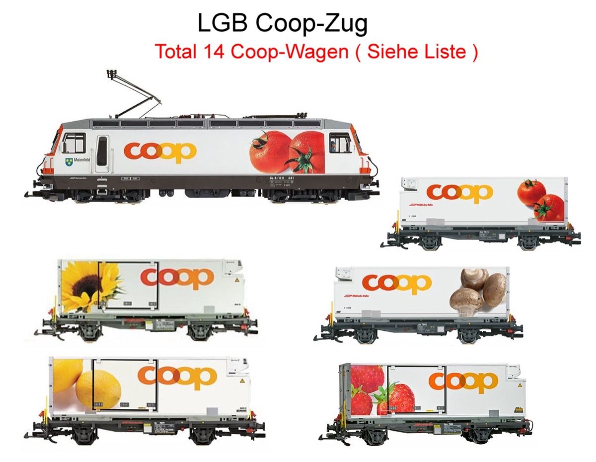 LGB Trains électriques: LGB Gartenbahn  – Neuf (Voir description) à Rizenbach par Luxor11 6