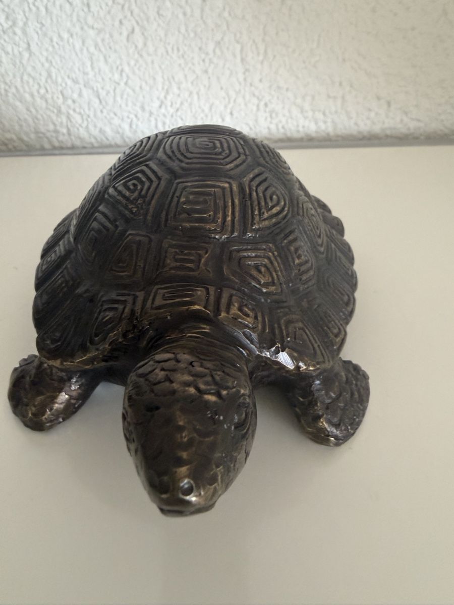 Sculture & Statue: Bronze, Schildkröte detailliert – Nuovo (secondo la descrizione) da Zürich venduto da eileenchen1 5