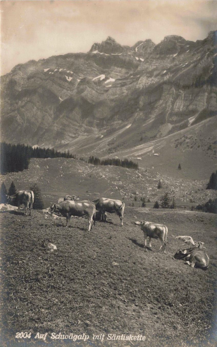 Cartoline postali: auf schuvÄgalp mit säntiskette – Usato da Biasca venduto da Blenio71