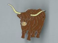 Hochlandrind Pin