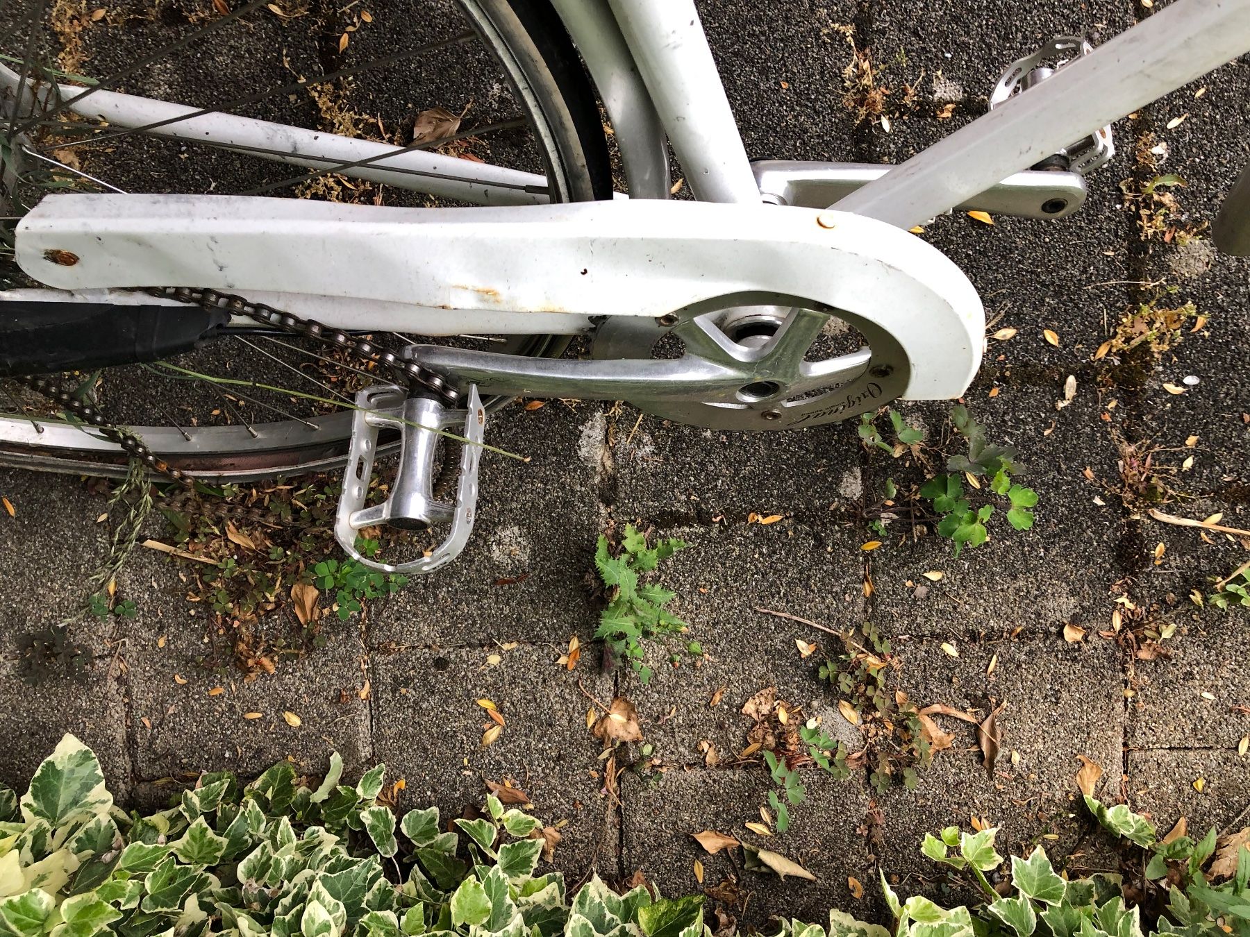 Biciclette: Siech Damenvelo ab 1.- – Difettoso da Oberweningen venduto da Jelo 4