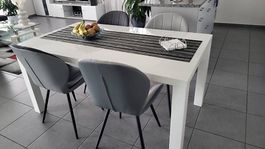 Esstisch + 4 Stühle