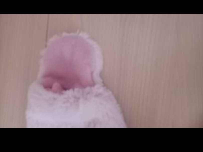 Pigiama & Simili: Baby Winter Overall 68 – Nuovo e nell'imballaggio originale da Oensingen venduto da mamma86 2